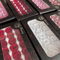Naturecho 21pcs Kepala Mawar Awet untuk Pernikahan, Hari Valentine, Natal, Hadiah dalam Kotak, Bunga Asli Abadi Ramah Lingkungan, Mawar Kering