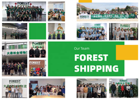 Services Logistiques de Transitaire Aérien Express et Agent de Dropshipping pour Amazon 1688 Shein E-commerce Expédition depuis la Chine