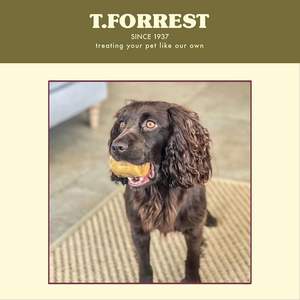 T.Forrest <strong>Roasted</strong> Marrow <strong>Bones</strong> for <strong>Dogs</strong> (20 Pack)-100% Natural Long-Lasting Grain-Free Calming Treats - Product Image 3