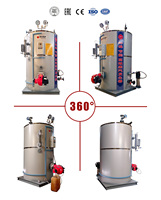 Générateur de vapeur au gaz industriel pour fibres synthétiques textiles CE ISO EAC 800 kg/h, alimenté au gaz, performance stable, haute efficacité