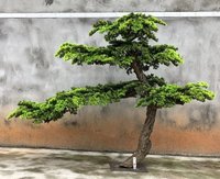 Pin de simulation d'arbre à haute résistance direct d'usine pin artificiel pour la décoration de la maison de Restuant