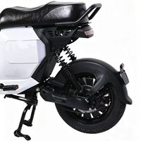 Hot Selling 1000W 60V U2 Electric Motorcycle With Round Angel Eye LED Headlight, Stable Night Riding