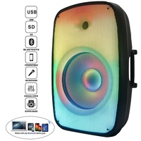 Sistema de Altavoces PA Profesional de 500W con Woofer de 15 Pulgadas, Conjuntos de Karaoke, BT-TWS-Mic--FM-ECHO-EQ+Luz de Llama, Bocina Parlante