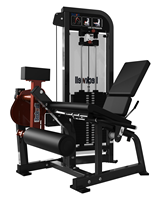 Machine d'extension des jambes professionnelle, équipement de musculation des jambes pour centre de fitness