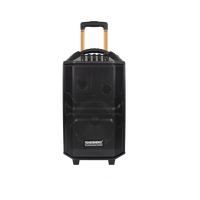 M Bluetooth Trolley Speaker 12 pouces Big Power Pro Audio Powered Speaker Active Sound Karaoke Speaker