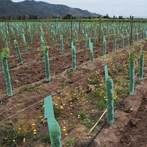 Protections pour arbres en plastique ondulé PP Polypropylène PE Polyéthylène / Protections pour vignes / Tubes de protection pour troncs d'arbres - Product Image 6