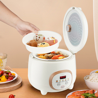 Cuiseur à riz électrique intelligent multifonction 1,5 L à faible teneur en sucre avec minuterie numérique et fonctions prédéfinies pour la cuisson à la vapeur du riz, des œufs et des soupes