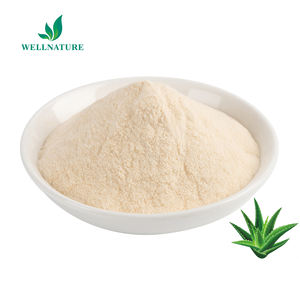 バルク化粧品グレードアロエベラエキスパウダーアロエベラゲル凍結乾燥粉末アロエベラゲルスプレー乾燥粉末 - Product Image 3