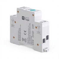 Interrupteur intelligent Wi-Fi Graffiti DC 63A 90-240V, 2 voies, montage sur rail DIN, compatible Alexa, application smartphone, système de maison intelligente, fabriqué en Chine