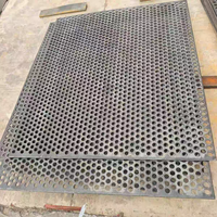 Peinture laquée anti-rouille Fangze pour treillis métallique perforé linéaire, idéale pour les murs-rideaux, façades de bâtiments et applications minières énergétiques