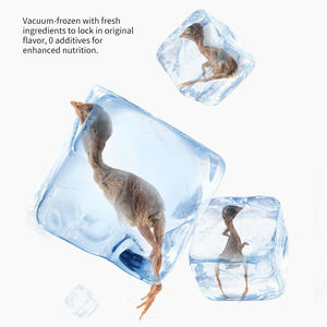 Friandises pour animaux de compagnie à base de caille lyophilisée pour chiens et <span class=keywords><strong>chats</strong></span>, collations naturelles riches en protéines, <span class=keywords><strong>hypoallergéniques</strong></span>, récompenses d'entraînement, fabriquées en Chine - Product Image 2