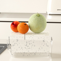 Boîte de rangement pour aliments pour animaux de compagnie GREENSIDE de haute qualité, nouveau design, organisateur transparent pour réfrigérateur avec drain pour la cuisine et le réfrigérateur