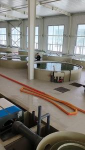 PP efficace recirculant les bases d'équipement de pisciculture de système d'aquaculture pour la pisciculture d'intérieur - Product Image 2