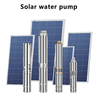 Pompe à eau solaire de 2 pouces avec panneau, pompe submersible pour puits profond, pompe pour puits de 64 m de profondeur