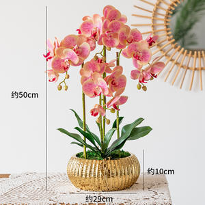 Nouveau style luxe 3D toucher réel phalaenopsis fleur artificielle or en pot <span class=keywords><strong>Dendrobium</strong></span> plante <span class=keywords><strong>Orchidée</strong></span> artificielle en pot - Product Image 4