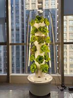Système de culture verticale, jardin hydroponique, légumes, herbes, fraises, tomates, kit de culture en tour d'aéroponie avec minuterie mécanique