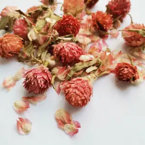 Membuat Sabun, Bunga Lilin Kering Bunga Gomphrena Globosa, Merah Alami Globe Amaranth Aroma Bunga Teh