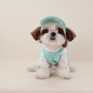 Robe de princesse pour chien, style frais, automne-hiver, confortable, pour petits chiens - Product Image 6