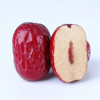 Premium gedroogde rode dadels Jujube fruit natuurlijk zoet Chinese dadel groothandel leverancier bulk export China OEM