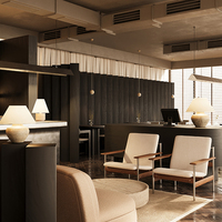 Chaise de salle à manger rembourrée haut de gamme sur mesure, design personnalisé pour restaurant de luxe, mobilier d'hôtel, projet commercial