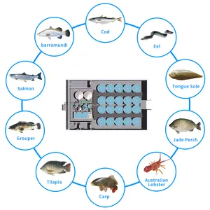 RAS इनडोर मछली झींगा खेती उपकरण, Ras इनडोर रीसर्क्युलेटिंग एक्वाकल्चर प्रणाली उपकरण, इनडोर मछली फार्म के लिए उच्च घनत्व