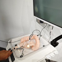Modèle d'entraînement à la coloscopie des sciences médicales Simulation souple Organe colique pour l'enseignement