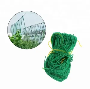 garden cord plant climbing vine net melon and fruit Ipomoea flowers vines climbing ropes for plants