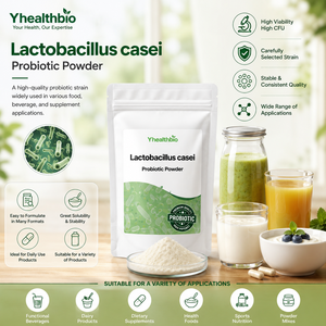 Lactobacillus <span class=keywords><strong>Casei</strong></span> Probiotika-Pulver mit Hoher CFU-Konzentration als Rohstoff für Nahrungsergänzungsmittel, Funktionslebensmittel und Milchfermentation - Product Image 3