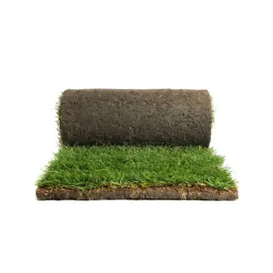 TianLu Artificial Grass Sports Flooring Plastics Shock Absorption Laying Of Simulated Lawn Composite Football Grass