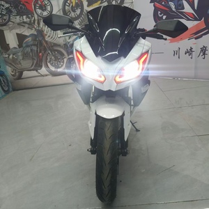 Jueshijie BMW1, Motocicleta Deportiva Usada, 250cc, Inyección Electrónica, Seis Velocidades, Norma Nacional IV, Estilo Little Ninja, Gasolina, Todoterreno, Velocidad Máxima - Product Image 4