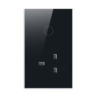 Interrupteur tactile intelligent pour maison connectée en verre trempé US/UK, prise 1+16A, cadre doré, contrôle à distance par application, compatible Google Alexa