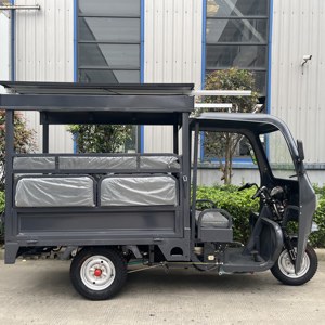Tricycle électrique solaire pour passagers, panneau solaire 720W, batterie LiFePO4 64V 78Ah, moteur 1500W, Tuk Tuk pour le Panama - Product Image 4
