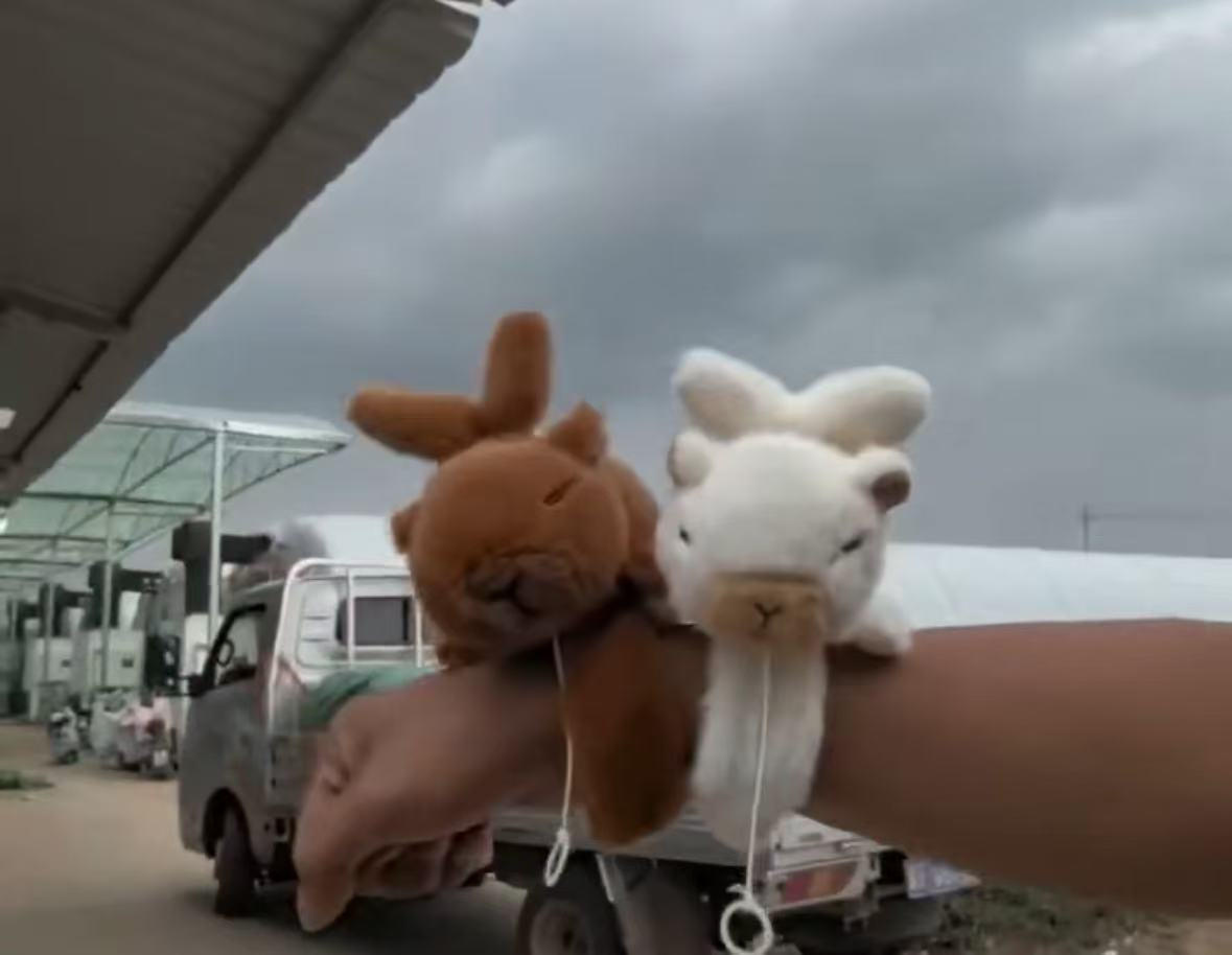 แหวนลายปีก 14 ซม.