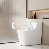 Ensemble de toilette monobloc en céramique à double chasse d'eau Réservoir dissimulé Articles sanitaires en marbre de couleur personnalisée P-Trap Drainage WC Accessoire de salle de bain
