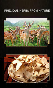 <span class=keywords><strong>Caramelle</strong></span> Pressate, Erbe Naturali, Lunga Durata, Estratti Vegetali - Product Image 4