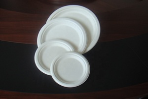 <span class=keywords><strong>Plateau</strong></span> de service en fibre de canne à sucre Bagosse pour la restauration - Product Image 1