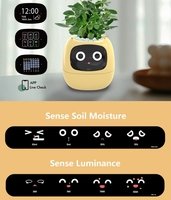 Pot intelligent d'intérieur rechargeable par USB, pot de fleurs moderne intelligent pour les personnes paresseuses et les animaux de compagnie mignons, absorption automatique de l'eau
