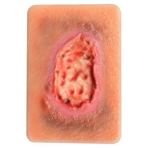 3 loại mô hình mô hoại tử Túi vết thương cho giáo dục chăm sóc vết thương trong các khóa học tccc/EMT/phec sản phẩm khoa học y tế - Product Image 1