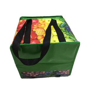 Sac isotherme à fermeture éclair personnalisé en PP laminé non tissé avec logo imprimé pour pique-nique - Product Image 2