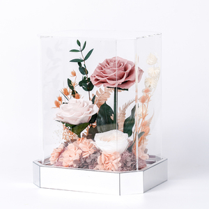 Vente directe d'usine, rose éternelle couleur cappuccino, cadeaux en boîte acrylique pour la fête <span class=keywords><strong>des</strong></span> mères, la Saint-Valentin - Product Image 3