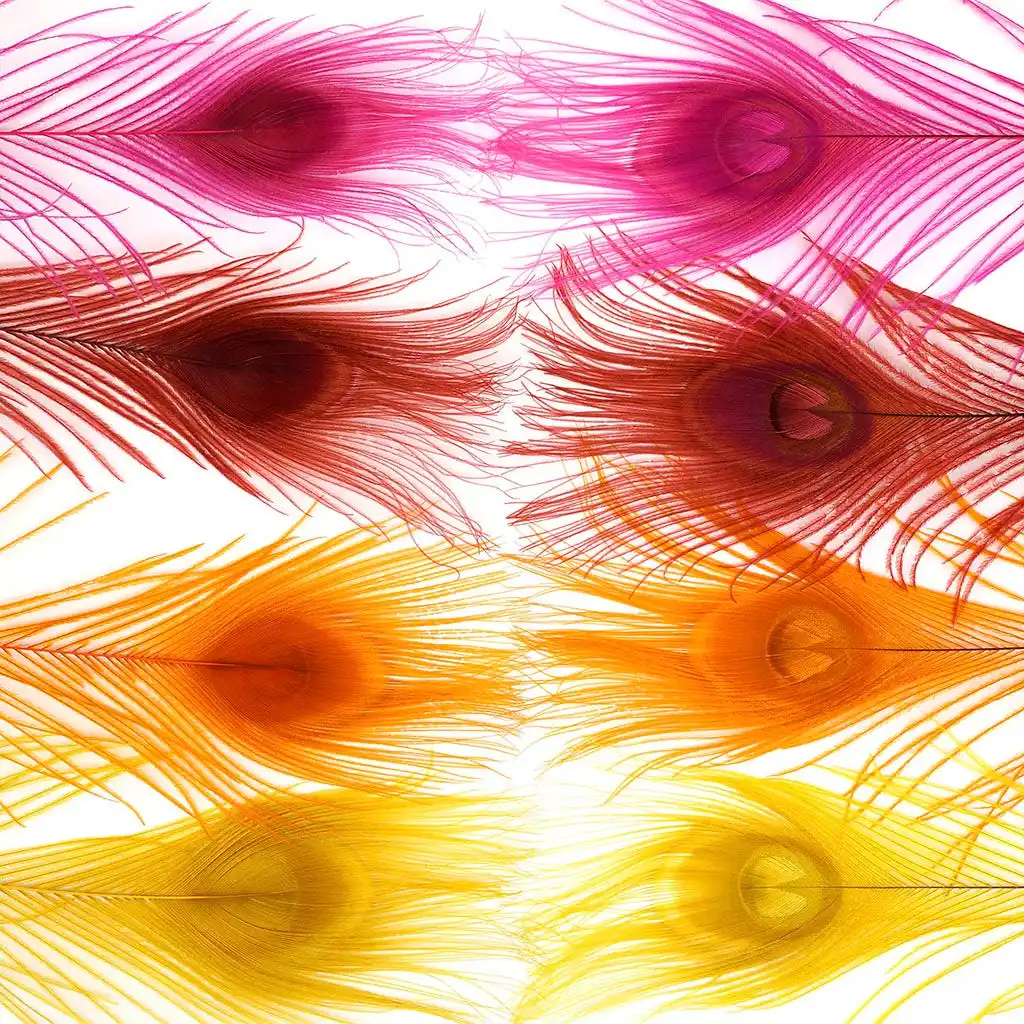 25-30 ס""מ נוצות טווס עיני זנב מולבנות צבועות DIY תחפושות קרנבל מסיבת בית נוצות דקורטיביות פסיון צבעוניות