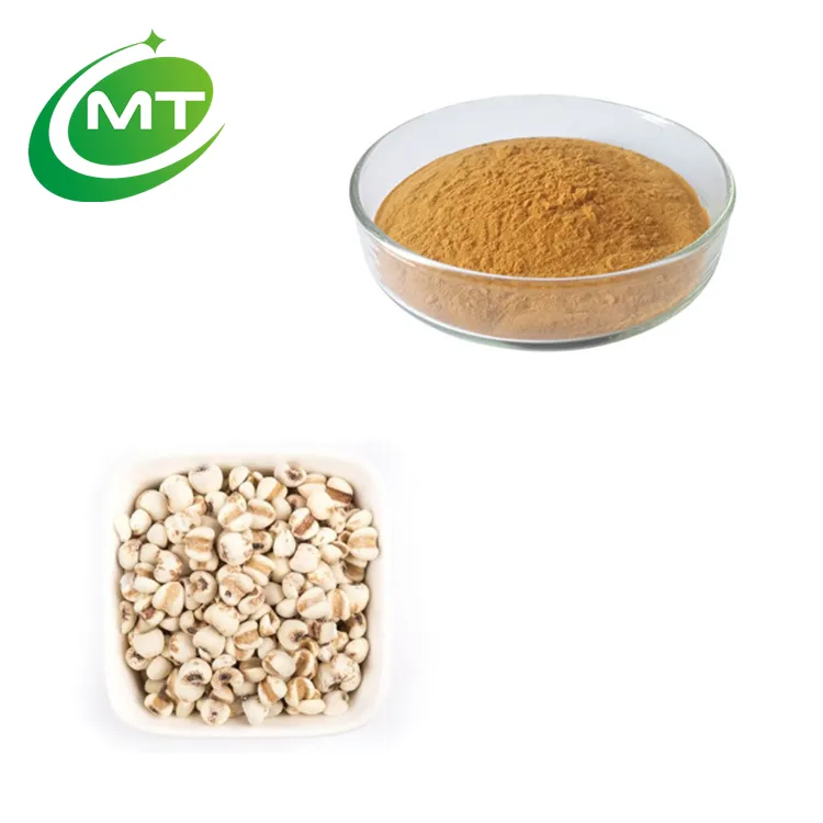 Extracto orgánico de semilla de Coix lacryma-jobi Coix, extracto de semilla en polvo de semillas de coicis de Semen para el cuidado de la piel