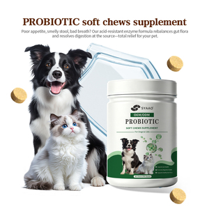 Suplemento Probiótico para Mascotas de Marca Privada OEM, Apoya la Flora Intestinal y la Función Inmunológica, Suplemento Nutricional para Gatos - Product Image 1
