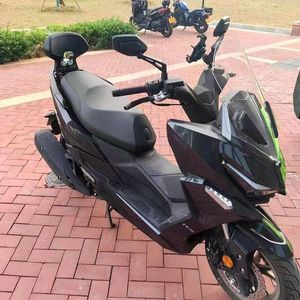 Respaldo Modificado para KYMCO Racing H150, Respaldo Trasero <span class=keywords><strong>RKS</strong></span> 150 <span class=keywords><strong>con</strong></span> Luz Trasera, Almohadilla Lumbar para Pasajero 150X - Product Image 4