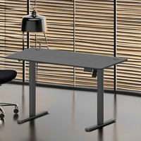 Bureau de travail électrique assis-debout pour le bien-être, cadre de bureau commercial, prix de gros, bureau informatique réglable en hauteur