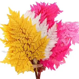 Factory Supply Preserved Colorful Leaves Preserved Fern For DIY Leaves From China