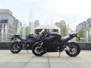 Moto de course JOSE MY-S avec moteur arrière sans balais, batterie au lithium 120Ah, vitesse de 140 km/h, pneus de 17 pouces, charge utile de 200 kg - Product Image 2