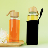 Bouteille d'eau en verre borosilicate incassable sans BPA de 16 oz et 34 oz avec poignée de randonnée et couvercle pour le camping et les activités de plein air – Offre Spéciale
