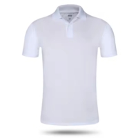 Grote Maat Heren Poloshirts Nylon Custom Print Zacht Ademend Kort Geborduurd Heren Polo T-Shirts Groothandel Premium