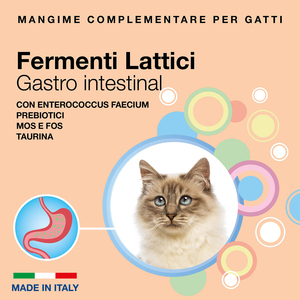 Veterinario Nutrición Gato Nutrición Suplemento DE SALUD Pasta de probióticos para mantener el sistema intestinal saludable - Product Image 2